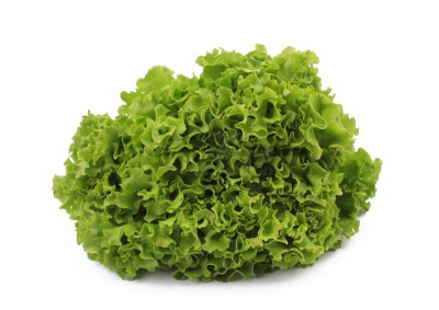 Салат айсберг 300 г - купить в Кужолке